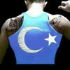 danik_34a