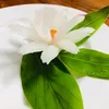 ruocnamhuong