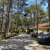 stoni280311