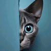 peeping.pussycat