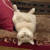 _hgiang24