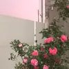 ta_wa47