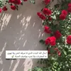 user477619800