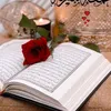 user7960000235287