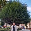 lizsegura162