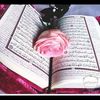 asmaasaad13080
