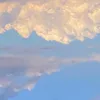 chawa_chawa8