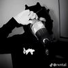 smd_pusy