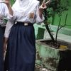 lialiesee