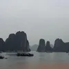 ngangahoang1
