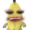 hayluontute