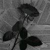 blackdiamond_443