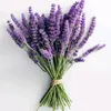 lavandes.0
