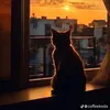 _dcd5