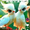 willyam709