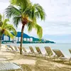 rohan_abdullah020222