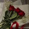 wwwvhqxnz18