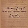 bajraktari_700_
