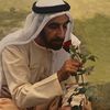 busultandarzayed