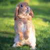 followthewhiterabbit82