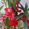 userrupa34555667799