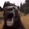 4ae4ek_ctapa9l_rvapgu9l