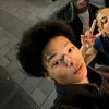 thesiesel