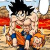 kakarot__sw