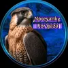 kinnur4