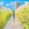 ahmed.bokul63