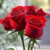 joury212_