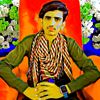 anwaralipanhwar30