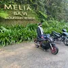 Vu Viet Thien