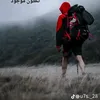 dy0qisal1zem