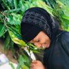 mhiz_nusiey