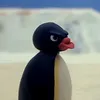 pingupenguping