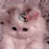 beautyby.aria