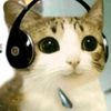 meowl_9813