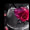 a9oon______507
