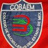 momazos.cobaem