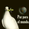 colo_colo44