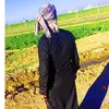 aljumaily511