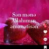 sebine.aliyeva37