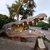 mambalunarpark