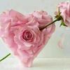 ward_jory3