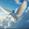 speedingbullet_tojannah