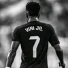 bra_vini7