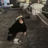 _dadgaicondaam