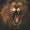 haideralmusawi3