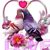 user3371246728668